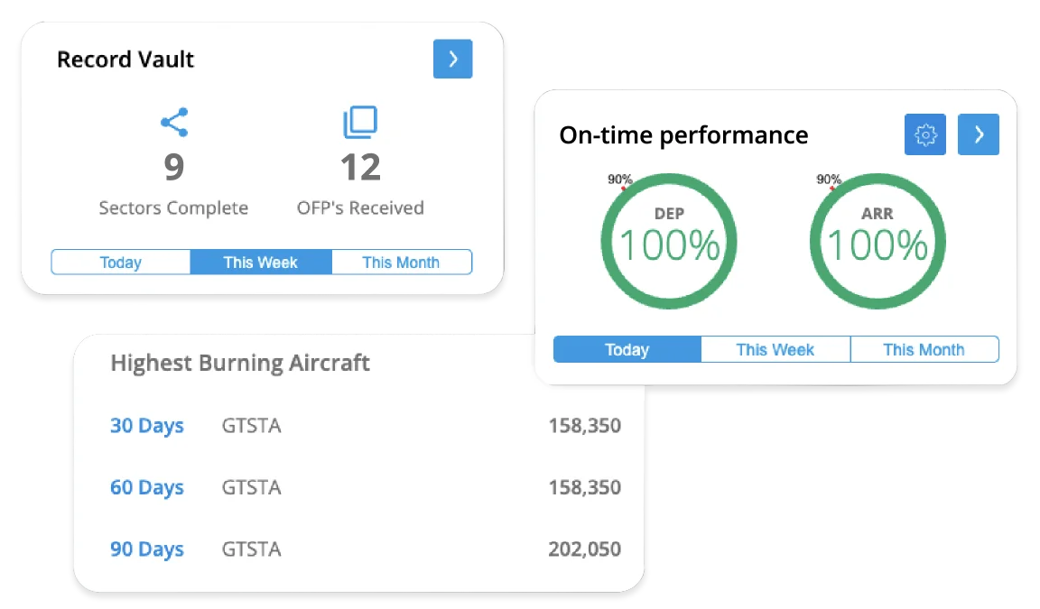 Instant flight reports