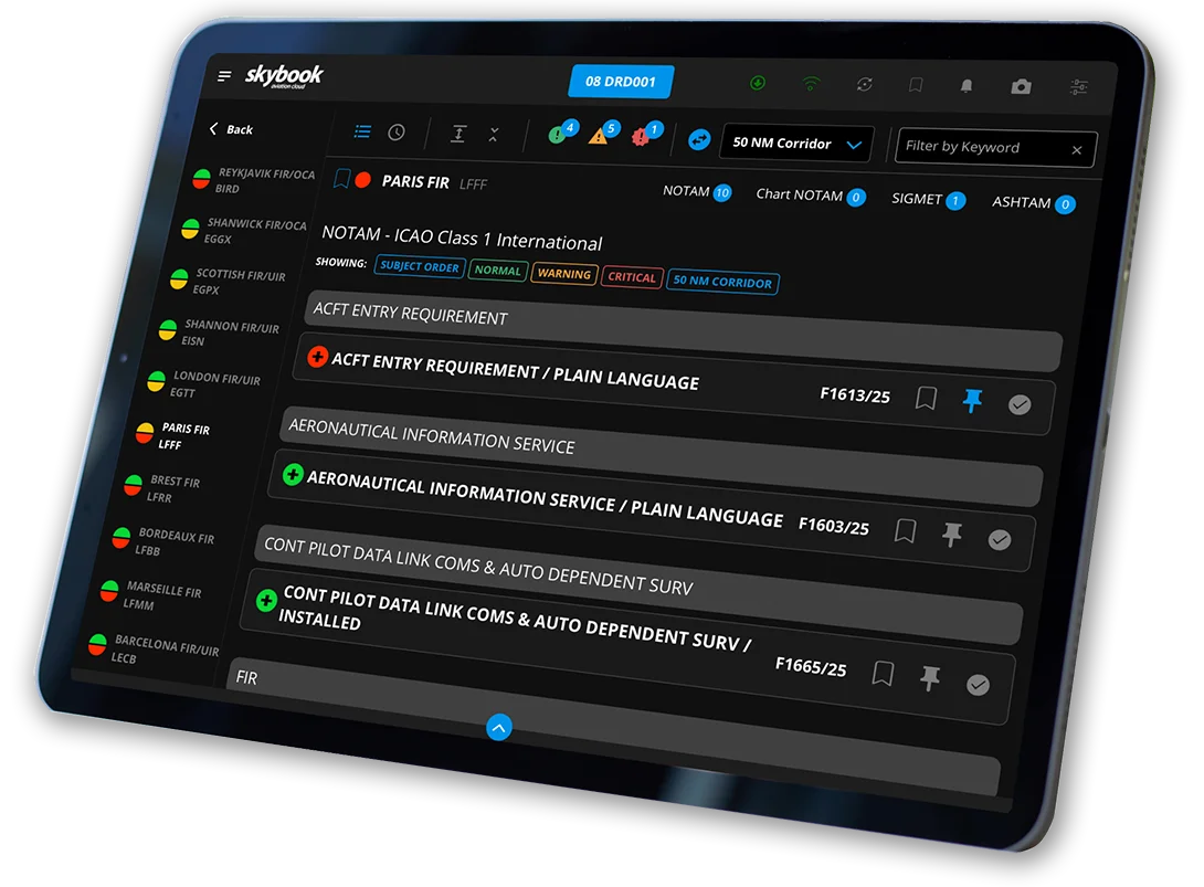 Comprehensive digital pilot briefings