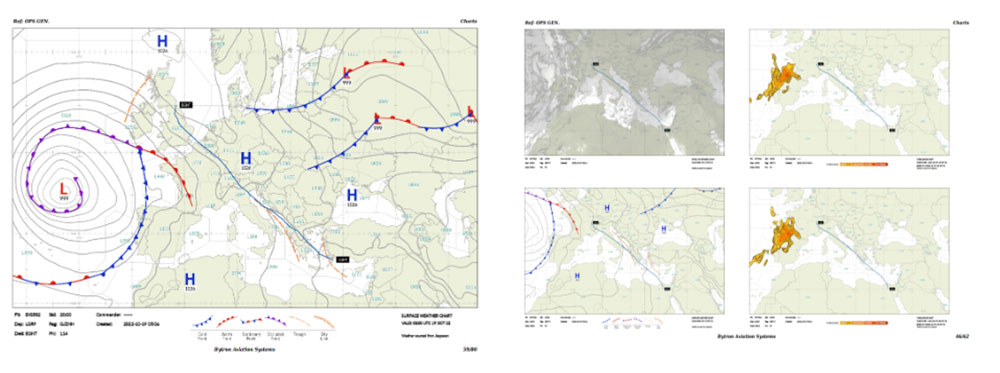 WSI charts